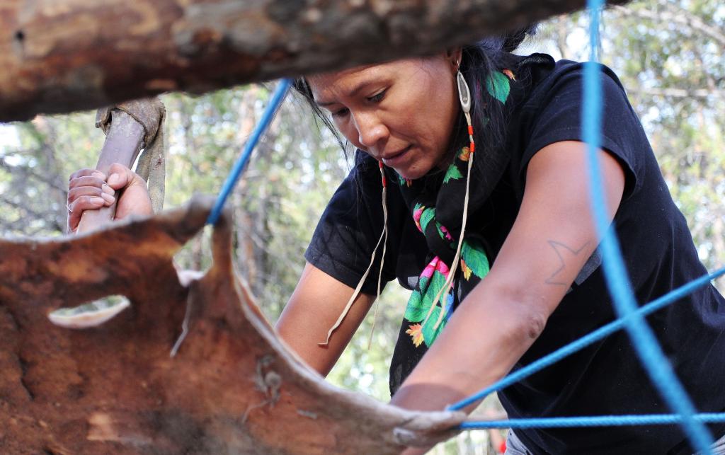 Melaw Nakehko, a Dene Nahjo co-founding member, fleshes a moose hide with a moose leg bone at the urban hide tanning camp organized in Yellowknife, Canada, September 2017.