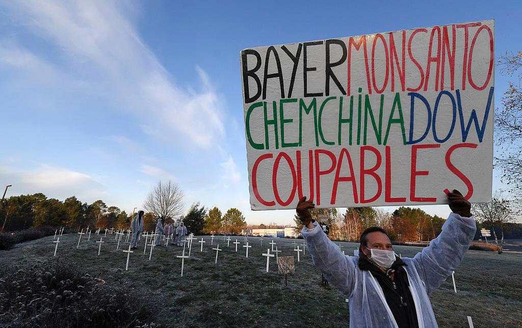 Man holds a placard which translates to 'A man holds a placard which translates as ‘Bayer/Monsanto, ChemChina, Dow, guilty’. Behind him, many crosses are embedded in the grass like a cemetary.